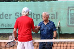 Stadtp_2026_16_8_176